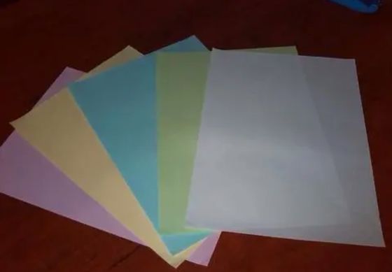 洗練されたプロフェッショナルな請求書のための二面性無炭素コピー紙