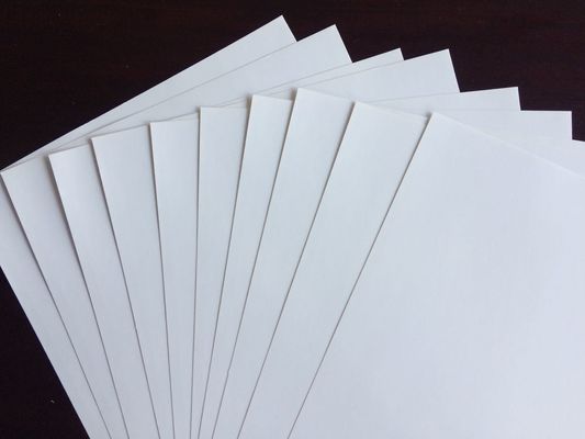 30%TT 白い裏の象牙板/FBB 包装と印刷に使用されるための事前支払い期間