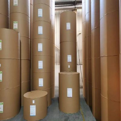 白 C1S FBB アイボリーボード GC1 210gm-400gm サンドウィッチ用片面塗装紙 耐久性
