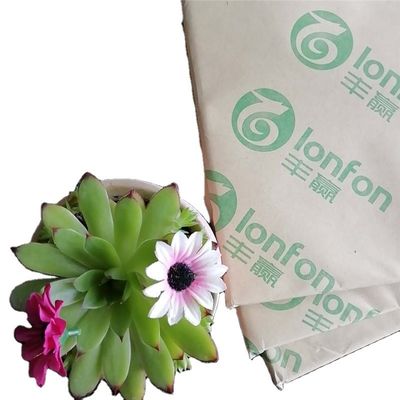 55G-120G ロンフォン/チェンミン/APPから