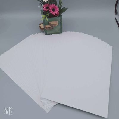Zenith 高散産 C1S コーティング ニンボ 折りたたみ FBB 象牙板 プレゼント 紙包装用