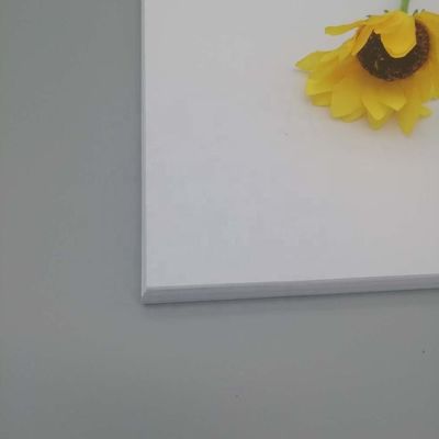 税関の要求と印刷のための抗巻き紙