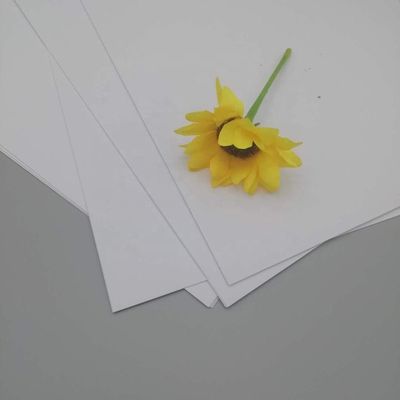 税関の要求と印刷のための抗巻き紙