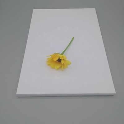 税関の要求と印刷のための抗巻き紙