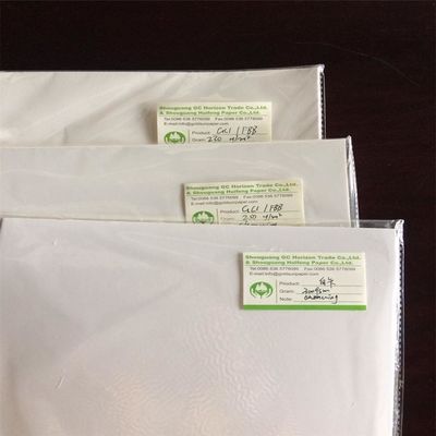 木製パルス 寧波 折りたたみ FBB/象牙板 完璧な包装と印刷材料